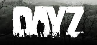 Выбираем хостинг DayZ для игр